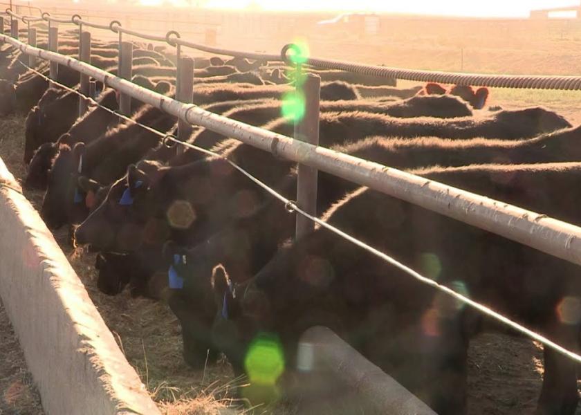 Could Industrialized Hemp Have ‘High’ Potential in LowStress Cattle Production? Drovers
